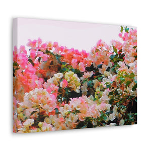 Travel File Decor ~ Chang Mai Blooming Trees, Thailand