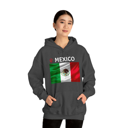Travel File ~ Mexico Flag
