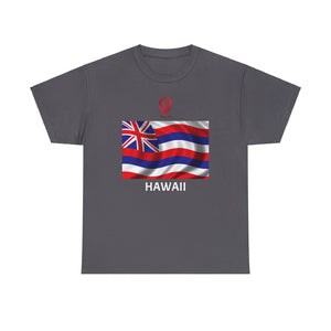 Travel File ~ Hawaii Flag ~ ALL PROFITS FROM HAWAII TEES & HOODIES GO TO MAUI DISASTER RELIEF