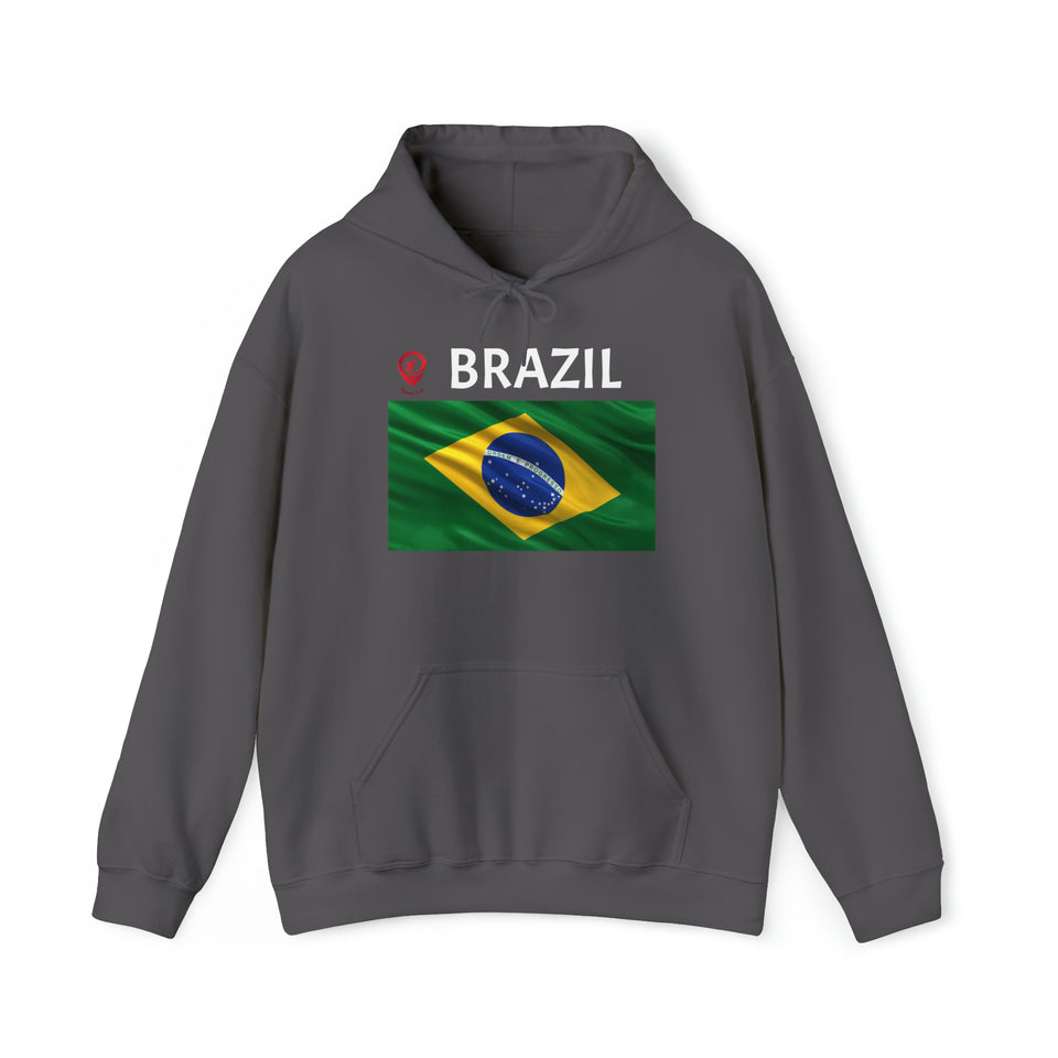 Travel File ~ Brazil Flag